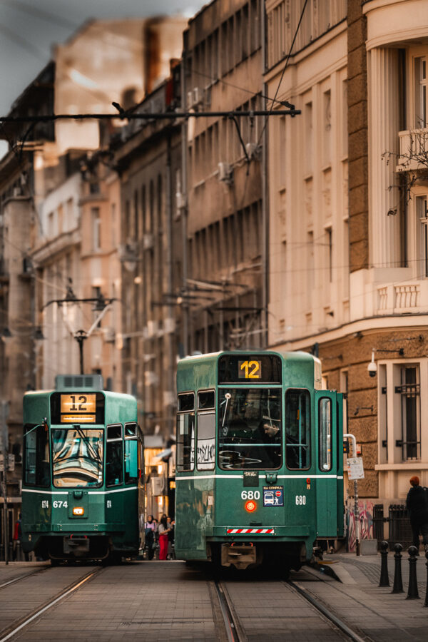 Crossing Paths on Graf Ignatiev - Limited Edition Photograph